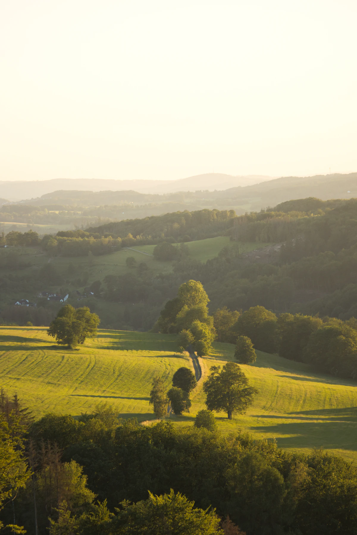 Grüne Hügellandschaft mit Wiesen und Wäldern im Bergischen Land